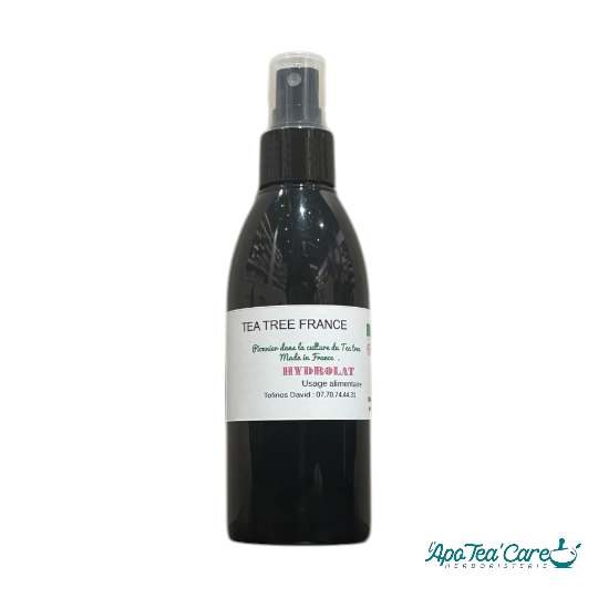 Hyrdolat de Tea tree -purifiant et assainissant - produit local Aromatic 66 - L'ApoTea'Care