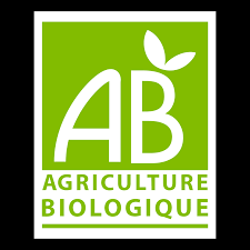 Cassis Gemmothérapie Bio flacon 15ml