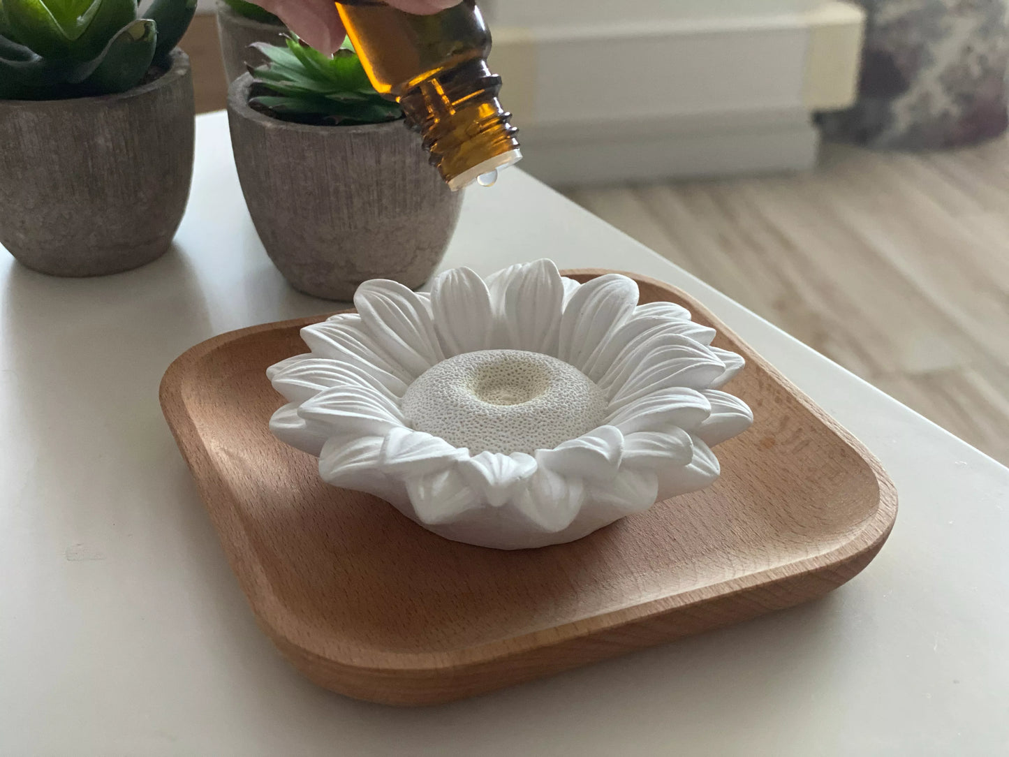 Diffuseur en Plâtre Astelia