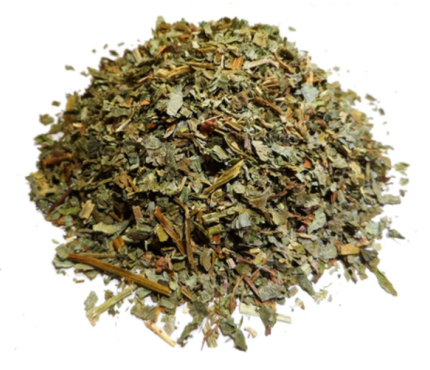 Lierre Terrestre Partie Aérienne Coupée