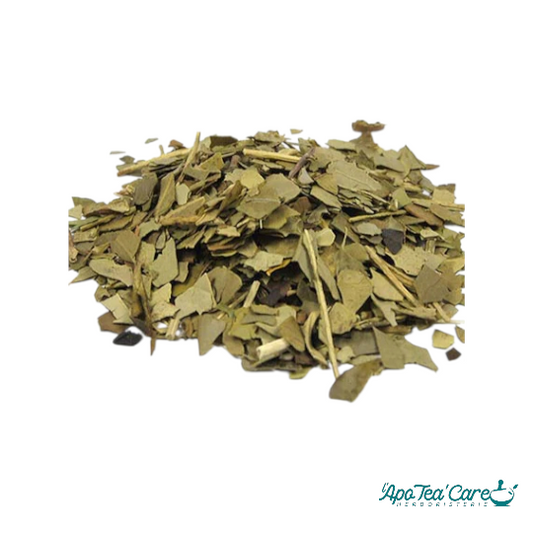 Maté Vert Torréfié Feuille Coupée - Énergie & Saveur Intense