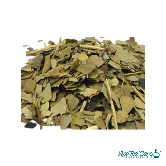 Maté Vert Bio Feuille Coupée - Énergie & Concentration Naturelle