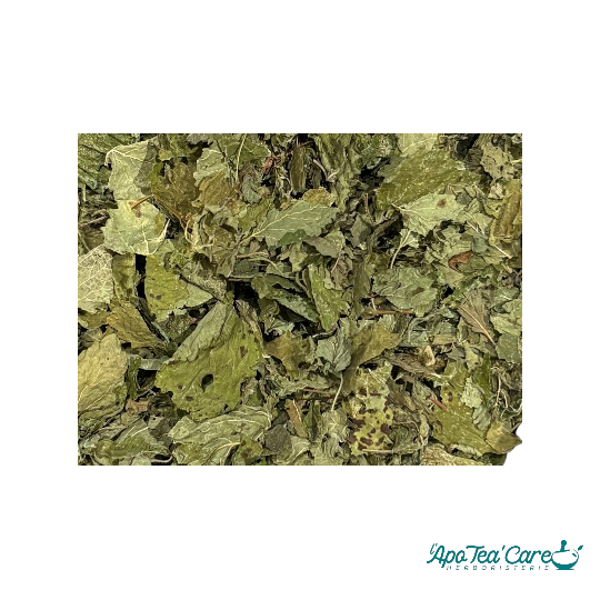 Mélisse Feuille Mondée Bio France Qualité Premium