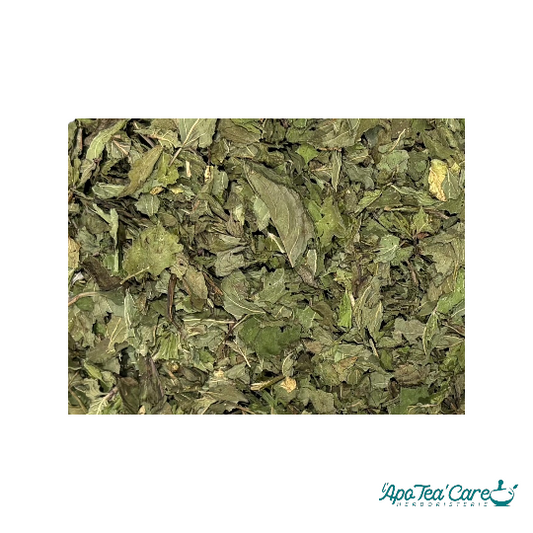 Menthe Poivrée Feuille Mondée Bio France - Qualité Premium