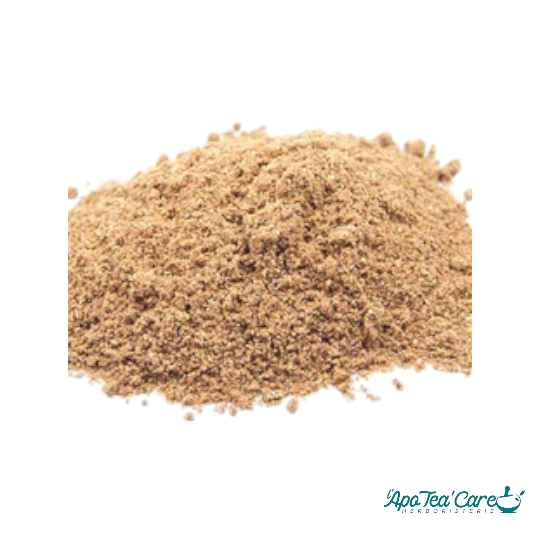 Muscadier Noix Poudre - Digestion & Cuisine Aromatique