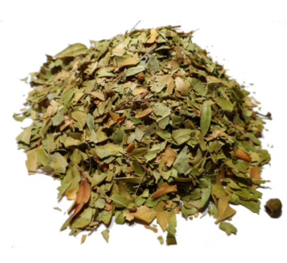 Myrte Feuille Coupée