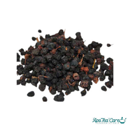 Myrtille Baie - Vision & Antioxydants Naturels