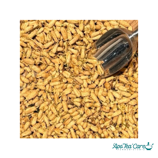 Oranger Bigaradier Bouton - Relaxation & Sommeil