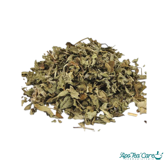 Origan Bio Feuille Coupée - Digestion & Vitalité