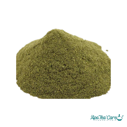 Ortie Piquante Feuille Poudre Détox & Reminéralisation Naturelle