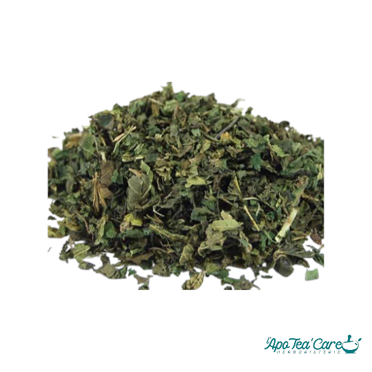 Ortie Piquante Feuille BIO Coupée - Vitalité & Articulations