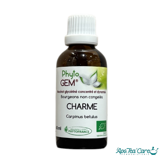 Macérat Phyto’gem Concentré de Bourgeons Charme Bio 40ml L'ApoTea'Care Herboristerie