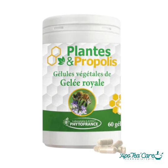 Propolis en Gélules 250mg – 60 Gélules Bio - Immunité et Gorge