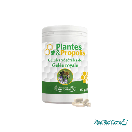 Propolis 60 Gélules