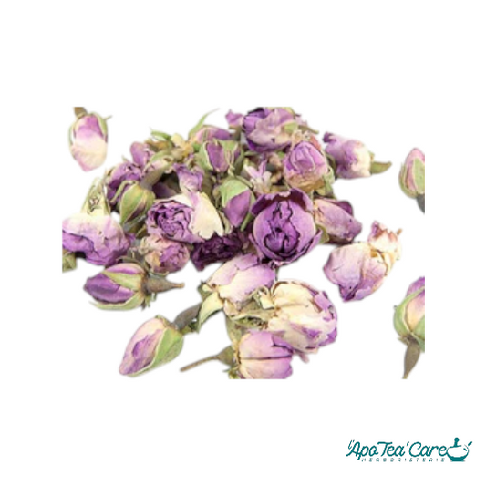 Rose de Damas Bouton Floral - Bien-être & Infusion Délicate