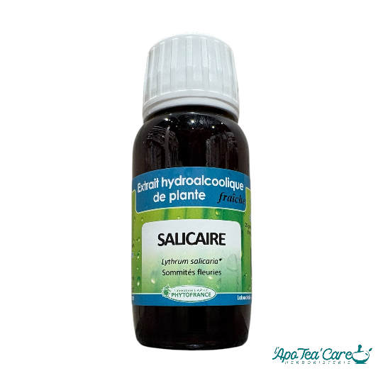 Extrait Hydro alcoolique Salicaire Bio 60ml - Digestion Intestins Transit PhytoFrance