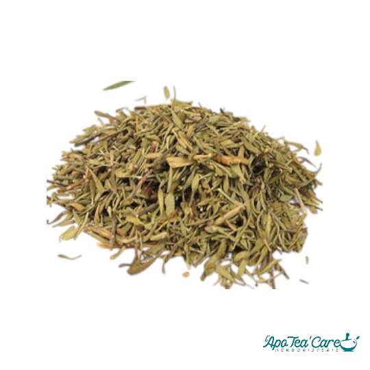 Sarriette Feuille Coupée - Digestion & Vitalité Aromatique