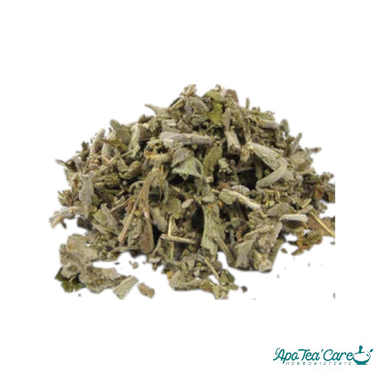 Sauge Officinale de France Bio feuille coupée- Digestion & Bien-être Féminin