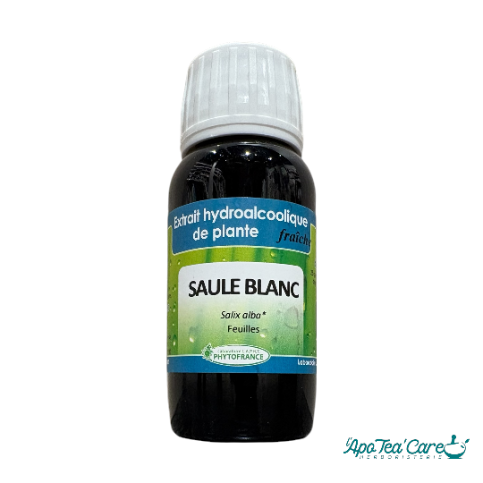 Extrait hydroalcoolique Saule Blanc bio 60ml PhytoFrance – confort articulaire musculaire - L'ApoTea'Care
