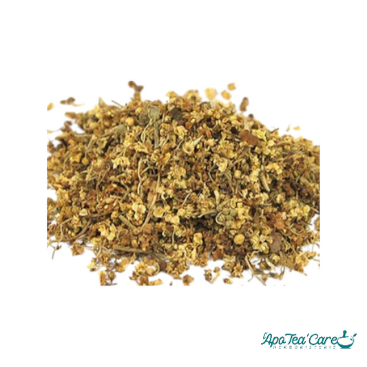 Sureau Bio Fleur - Confort Respiratoire & Drainage