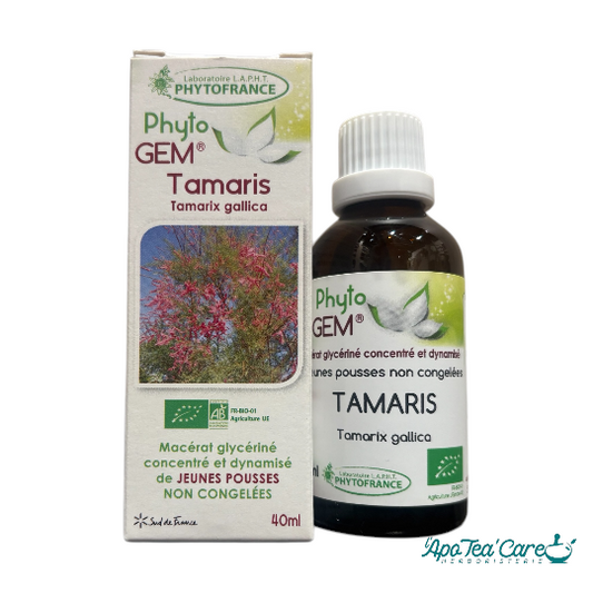 Le Macérat Phyto'gem de Bourgeons de Tamaris Bio 40ml - Circulation et Vitalité PhytoFrance