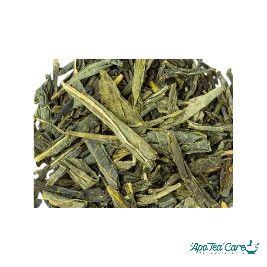 Feuilles de Thé Vert Sencha Japon – Riche en catéchines et antioxydants naturels – L'ApoTea'Care