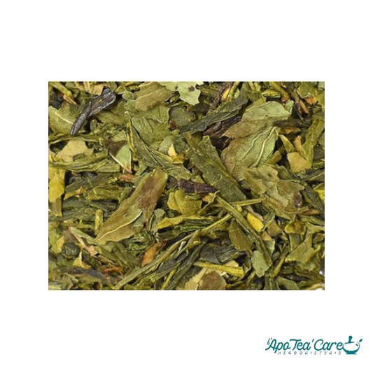 Thé Vert Menthe Bio - Fraîcheur Orientale Rafraîchissante