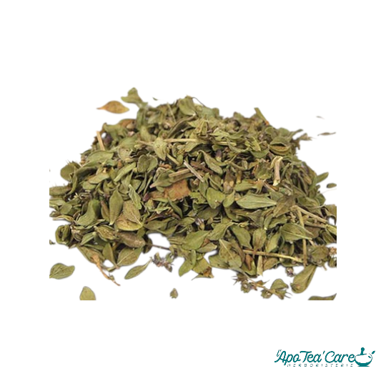 Thym Citron Bio Feuille - Notes Citronnées & Digestion