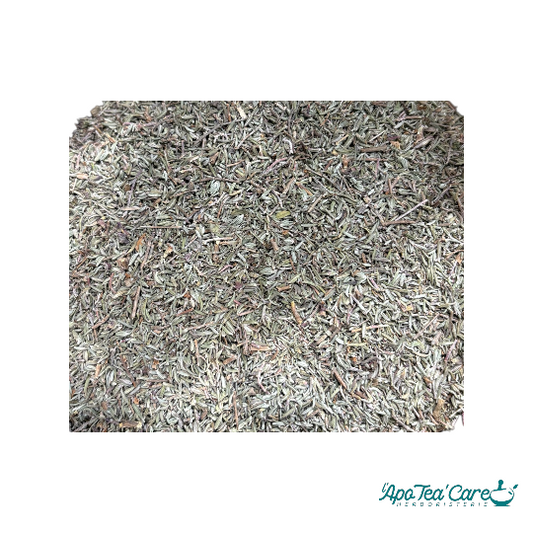 Thym Sauvage Bio Cueillette Premium - Digestion & Respiratoire