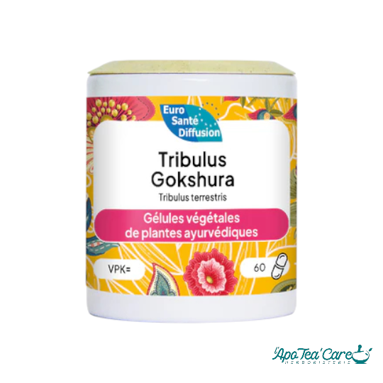 TRIBULUS 300mg 60 Gélules