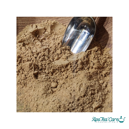 Tribulus - poudre de fruits