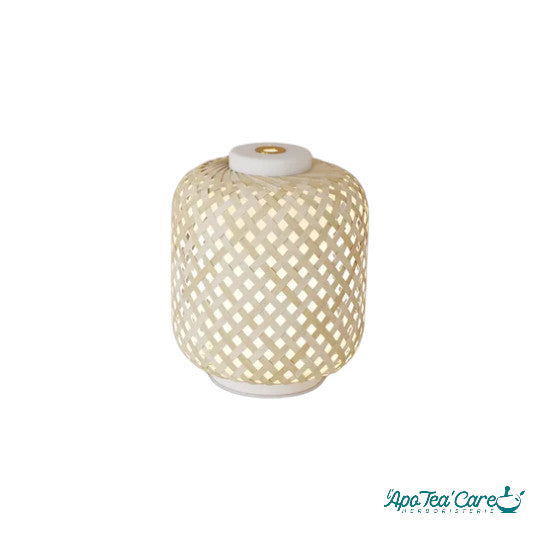 Vanelia : diffuseur ultrasonique