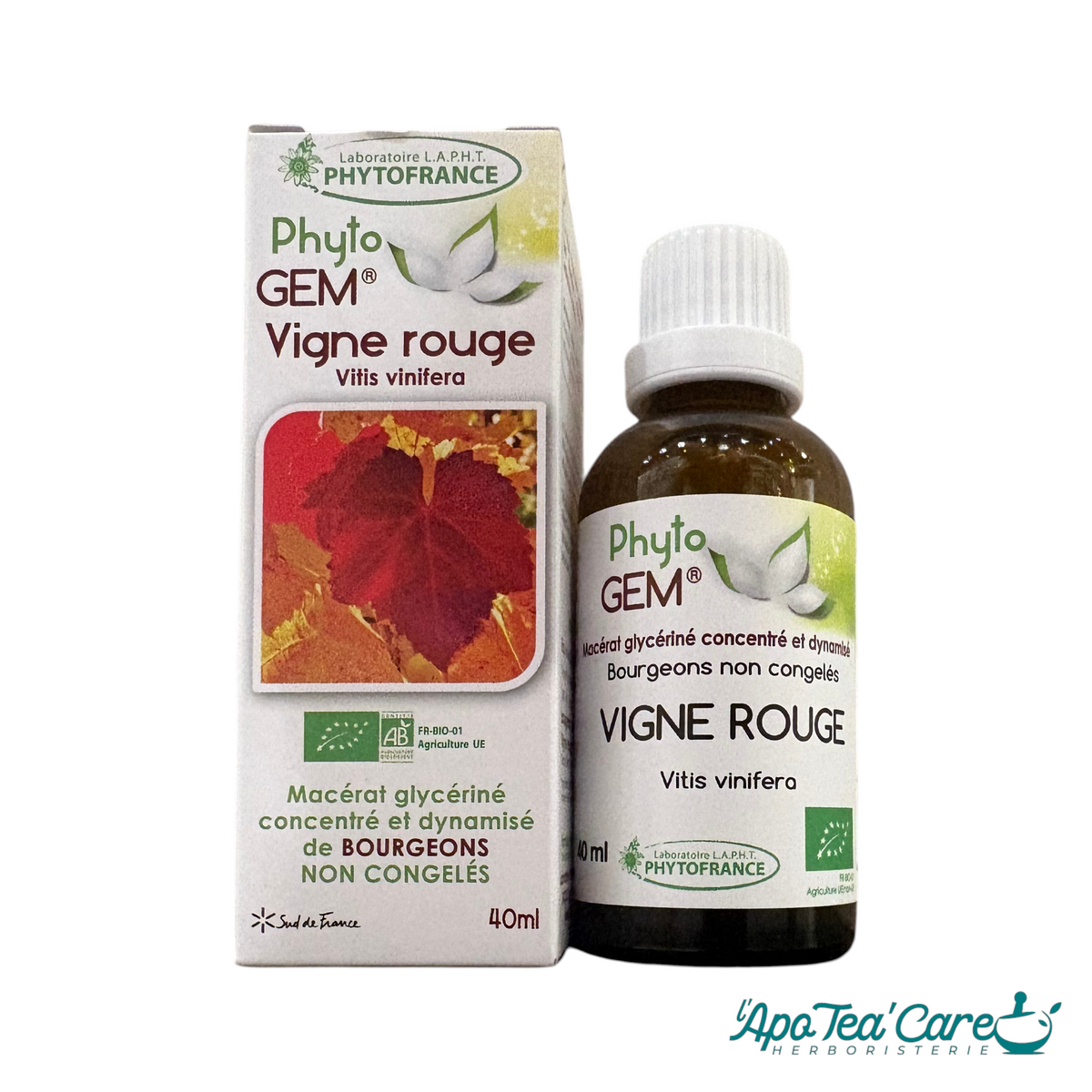 Macérat Phyto'gem Concentré de Bourgeon Vigne Rouge Gemmothérapie Bio 40ml - Circulation et Jambes Légères - Phytofrance