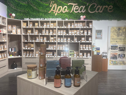Comme Avant : des cosmétiques 100% naturels, fabriqués à Marseille