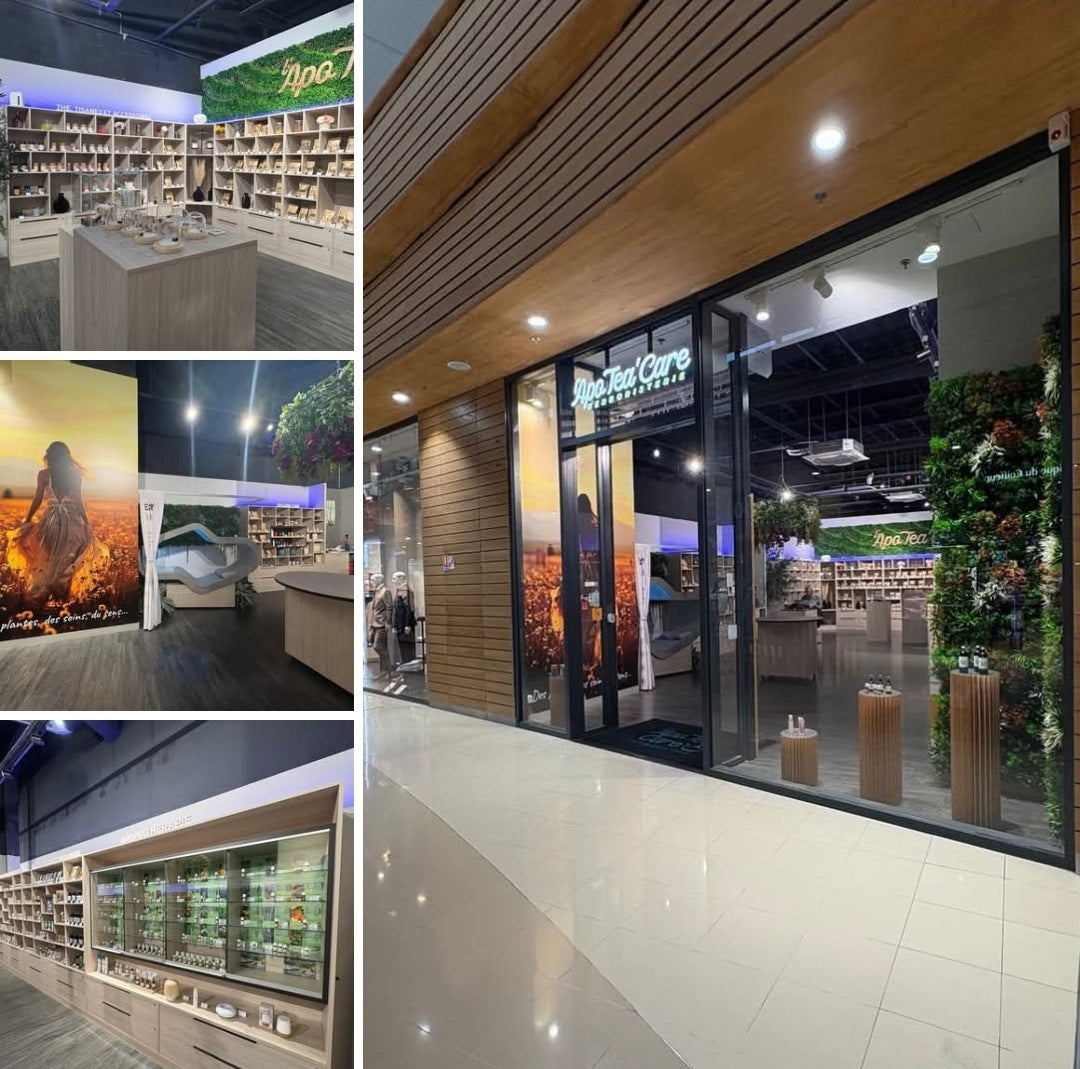 Redécouvrez l’équilibre avec notre Tisane Détox 100 % Naturelle