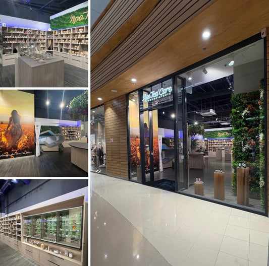 Redécouvrez l’équilibre avec notre Tisane Détox 100 % Naturelle