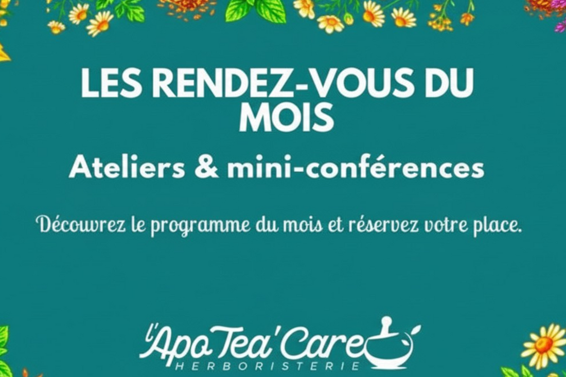 Ateliers d’herboristerie à Perpignan : le programme du mois