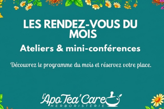 Ateliers d’herboristerie à Perpignan : le programme du mois