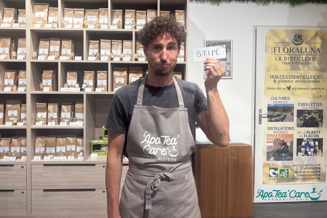 Transit difficile et constipation occasionnelle : causes, plantes et solutions naturelles – L'ApoTea'Care