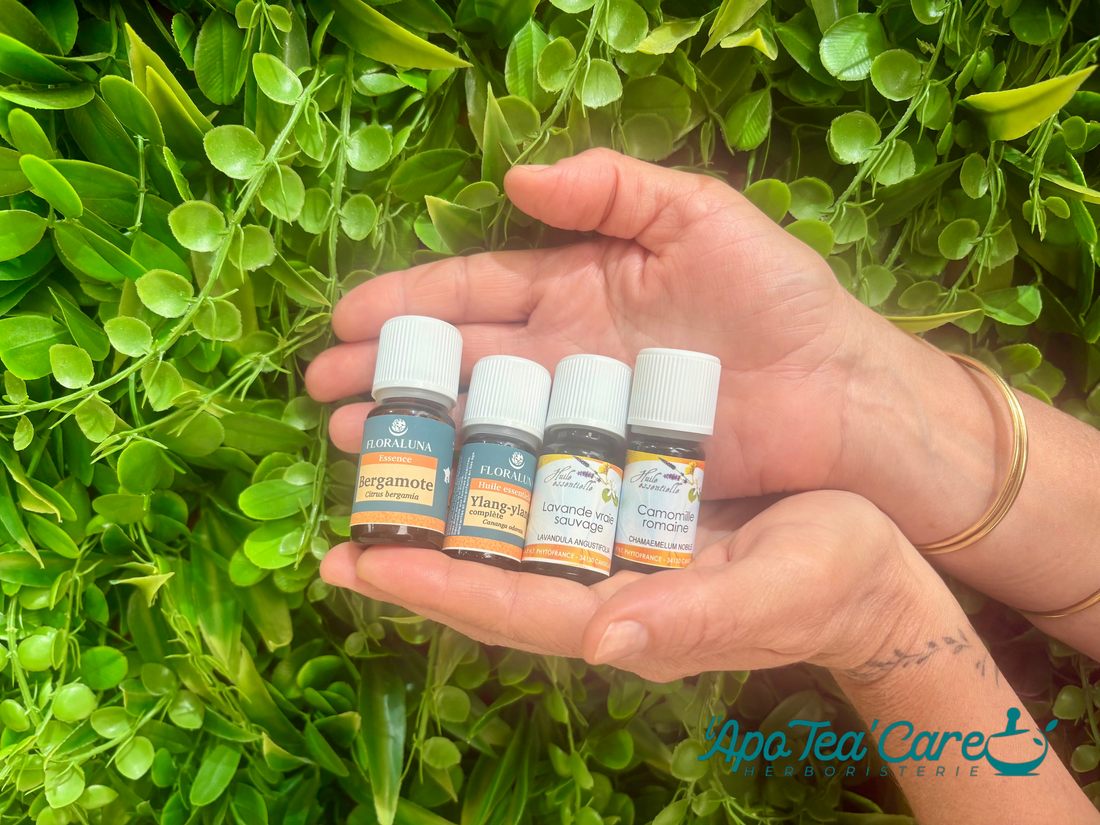 Huiles essentielles pour le stress et l'anxiété – lavande, camomille, bergamote – L'ApoTea'Care herboristerie