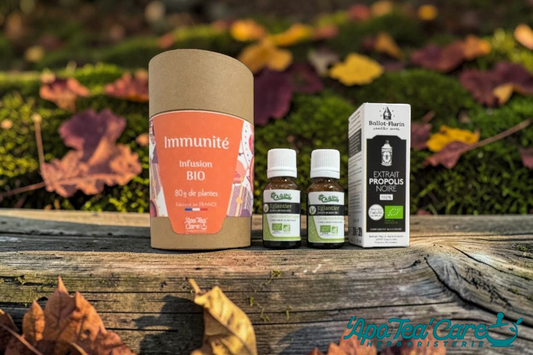Guide de l’immunité : comment soutenir naturellement ses défenses ?