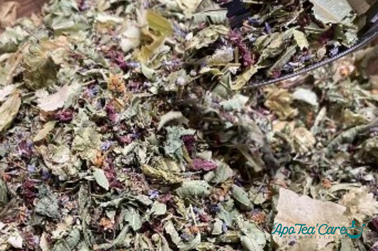 Tisane pour dormir : quelles plantes choisir pour favoriser un sommeil serein ?
