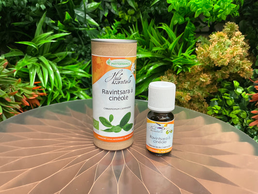 Huile Essentielle Ravintsara 10ml