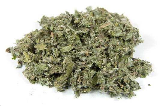 Artichaut Bio Feuille coupée France