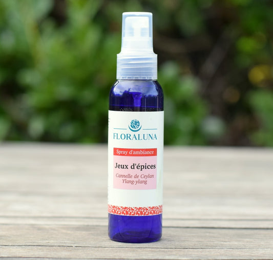 Diffusion & Parfums d’ambiance Brume Jeux d'Epices