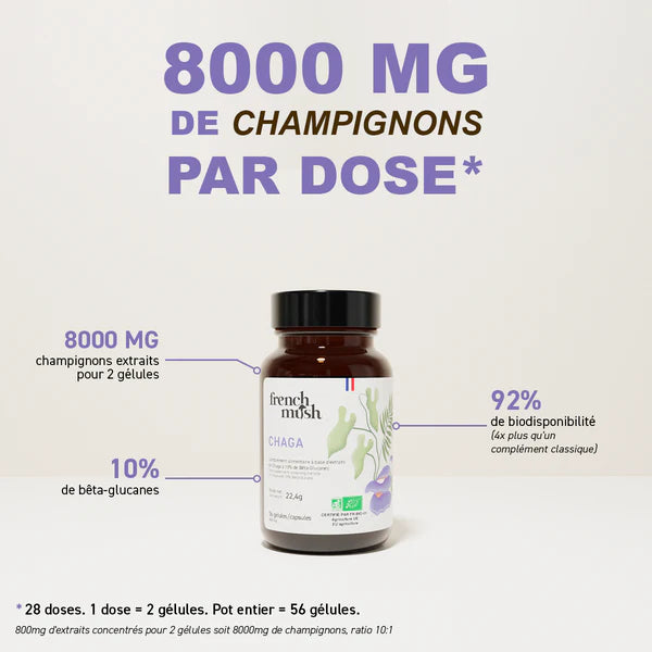 Gélules Chaga