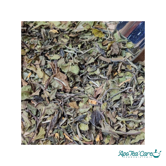 Thé Blanc Earl Grey - Antioxydant & Détente