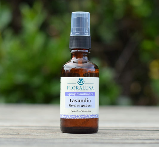 Diffusion & Parfums d’ambiance Envolée de Lavandin 50ml