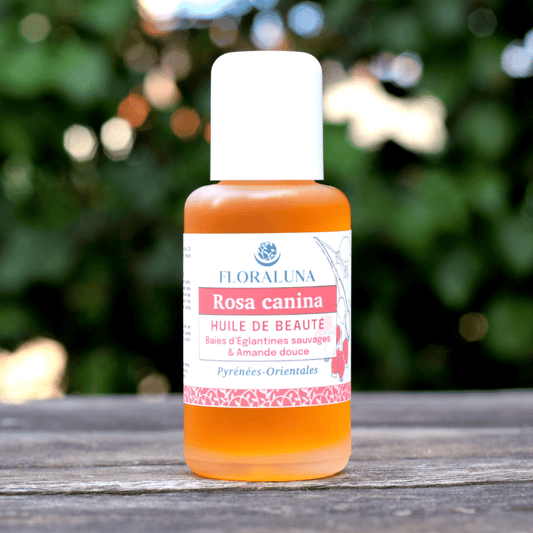 Huile de Beauté & Massage Rosa Canina Bio 50ml