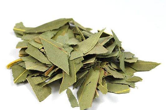 Eucalyptus Bio Feuille Coupée